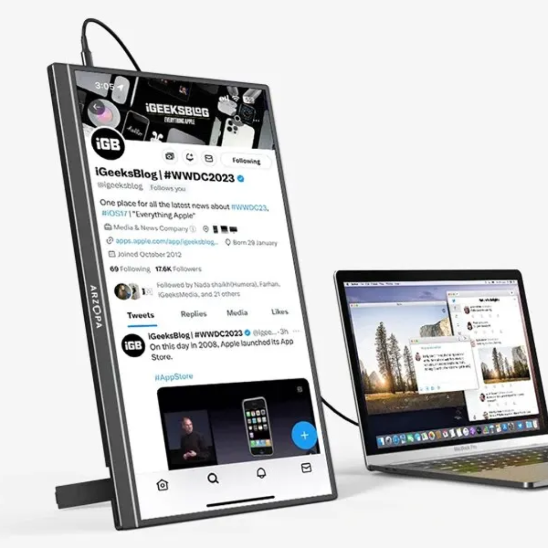 Pantalla portátil 17,3"